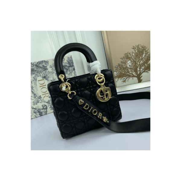 cartera dior